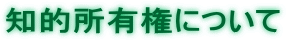 知的所有権について